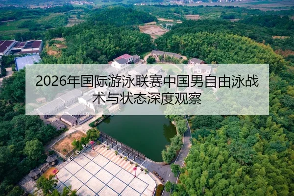 2026年国际游泳联赛中国男自由泳战术与状态深度观察